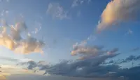 The Art of Editing
