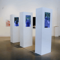 Dimensional Freedom