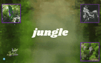 JUNGLE